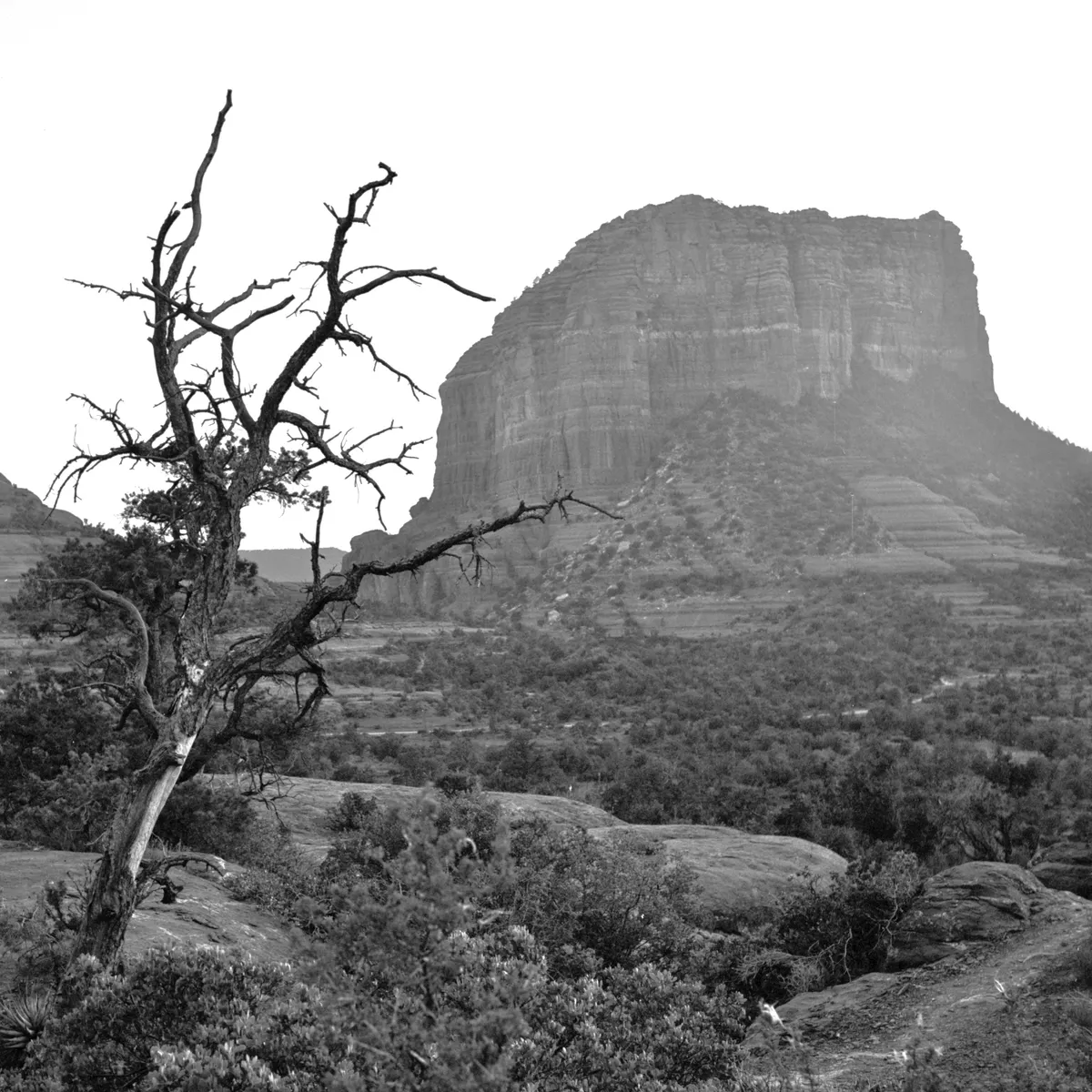 Sedona Sunrise (May 2012)