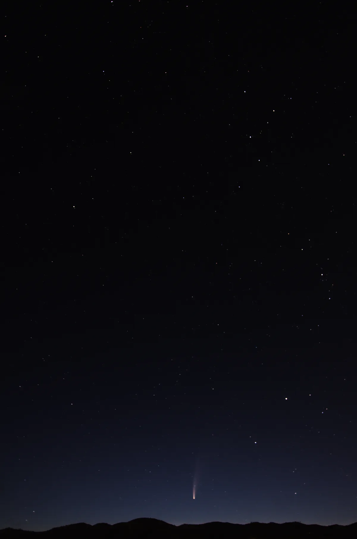 2020 Neowise Comet