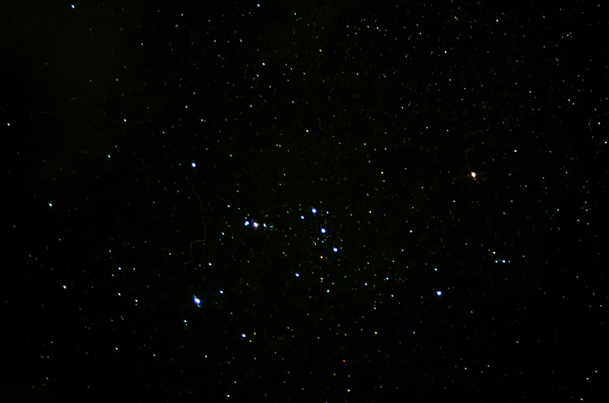 Orion