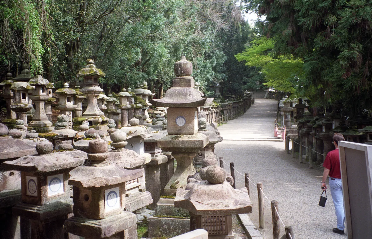24545-Negs-003