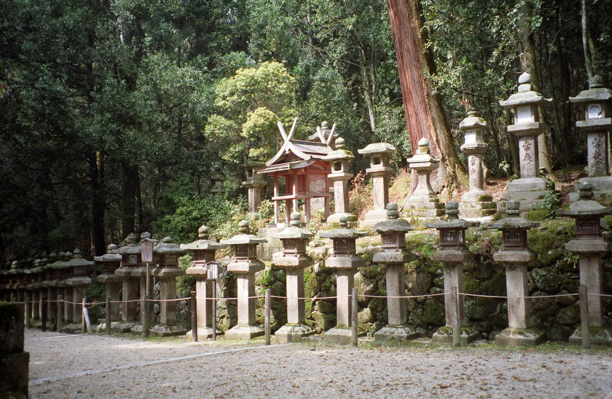 24545-Negs-004