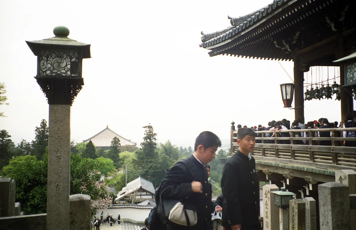 24545-Negs-005