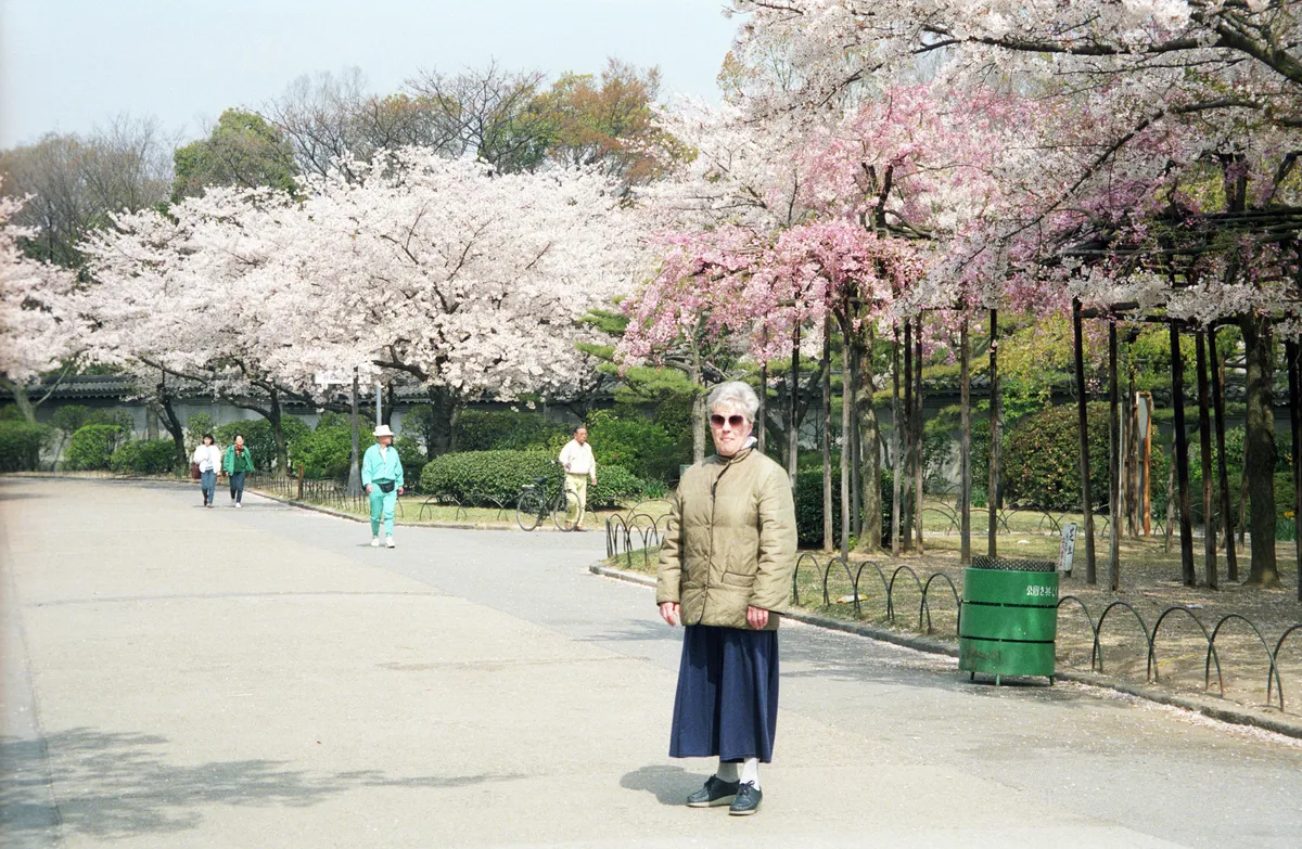 24545-Negs-009