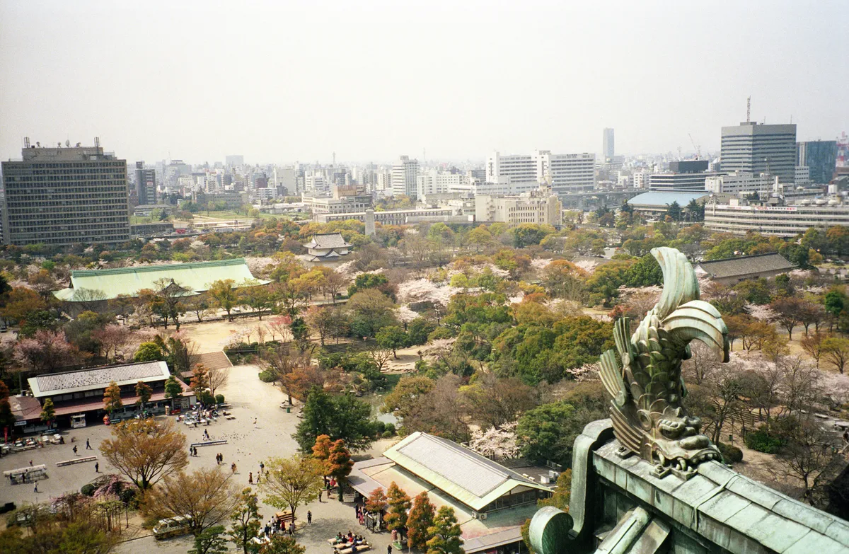 24545-Negs-017