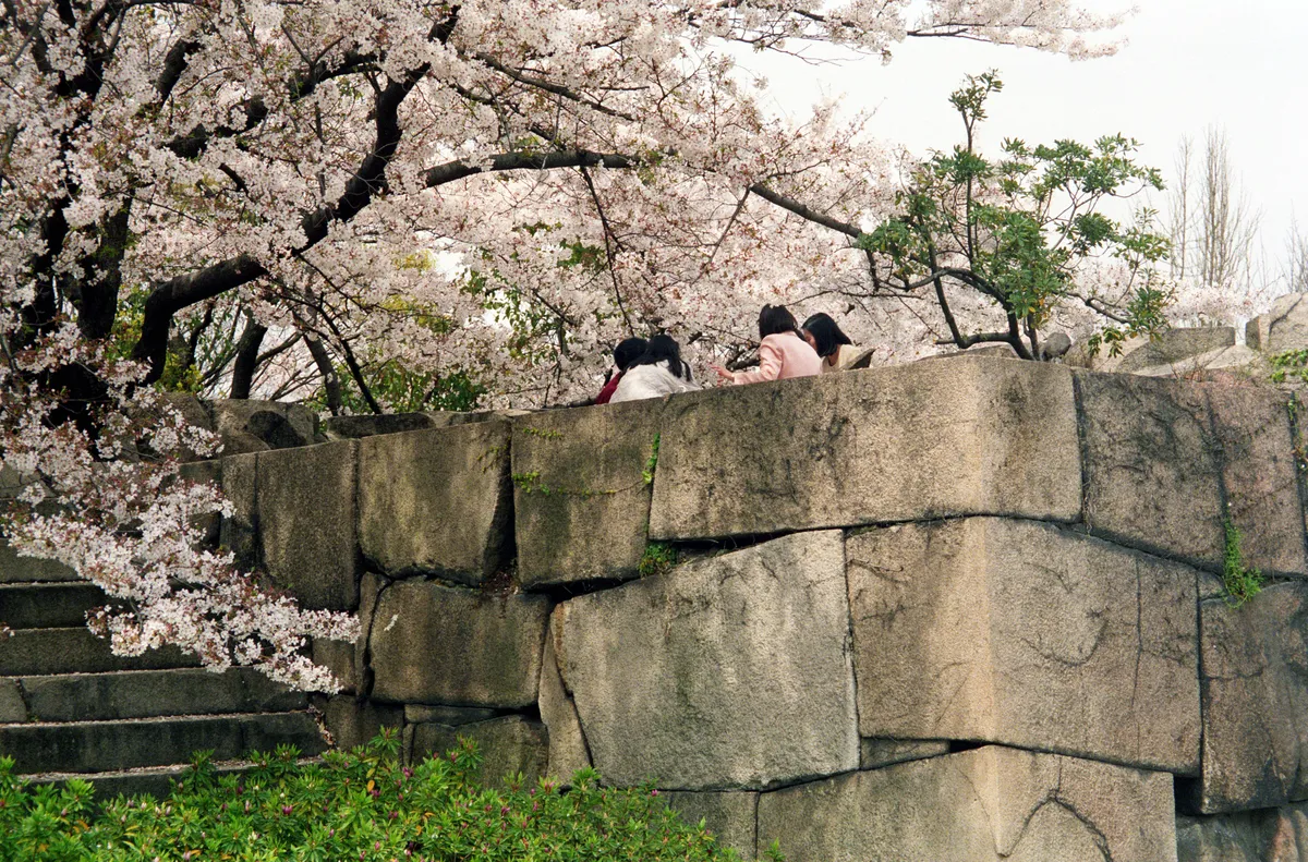 24545-Negs-023