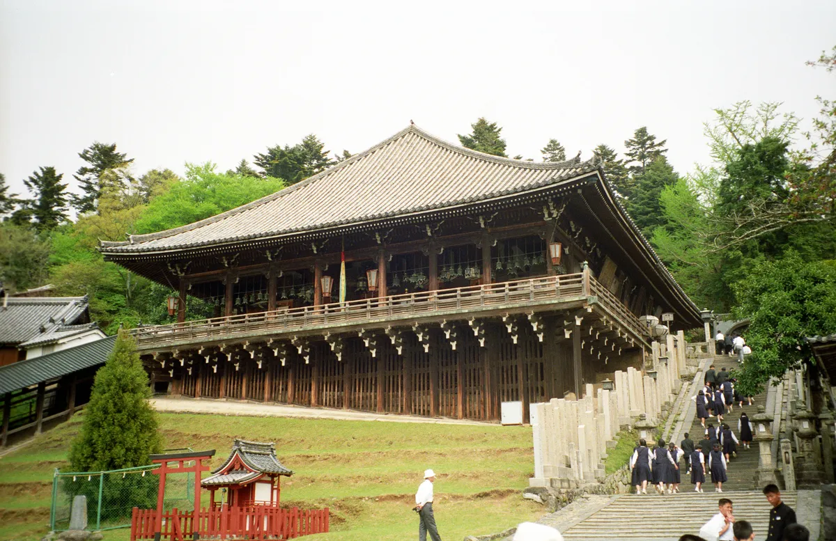 24545-Negs-025