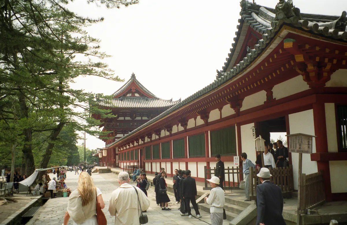 24545-Negs-027