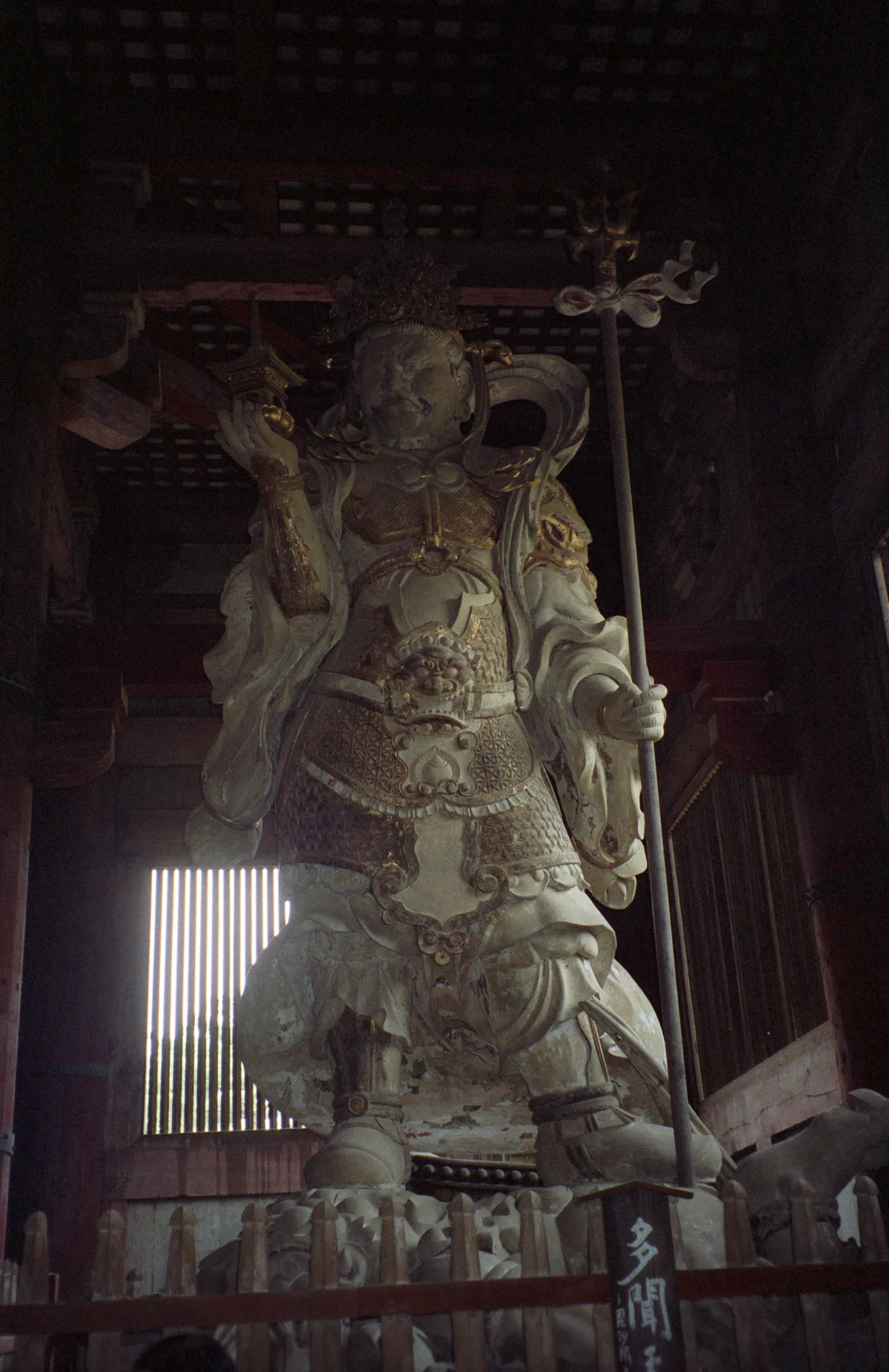24545-Negs-029