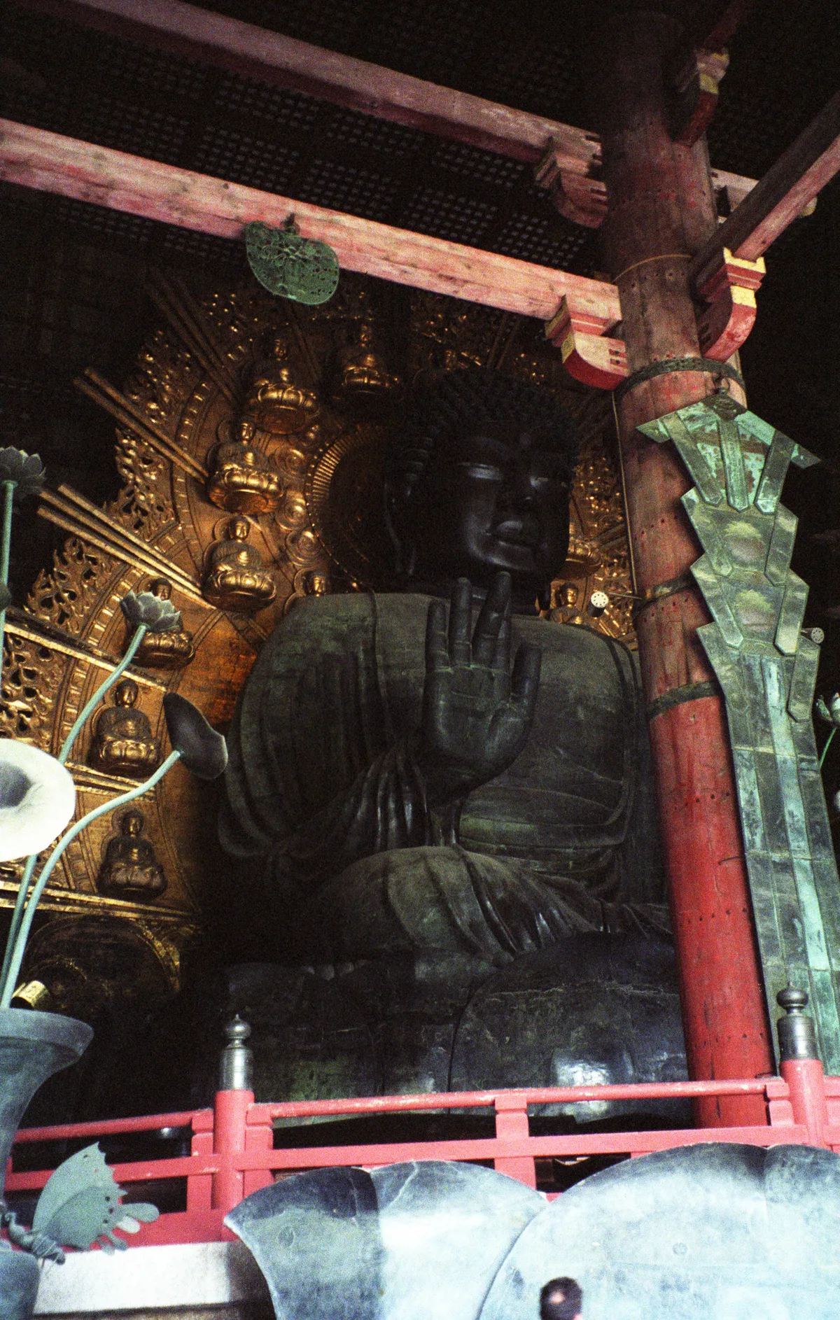 24545-Negs-035
