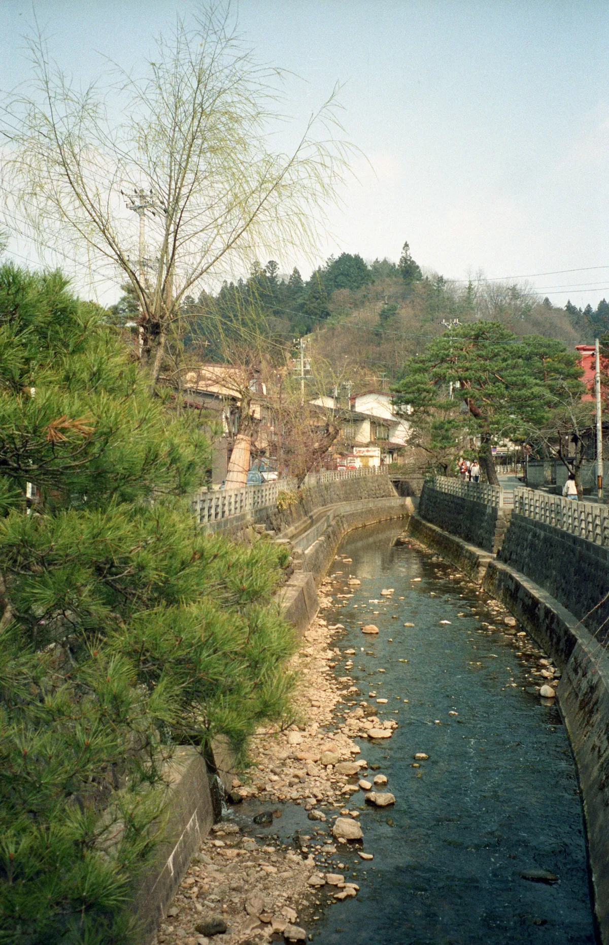 24545-Negs-046