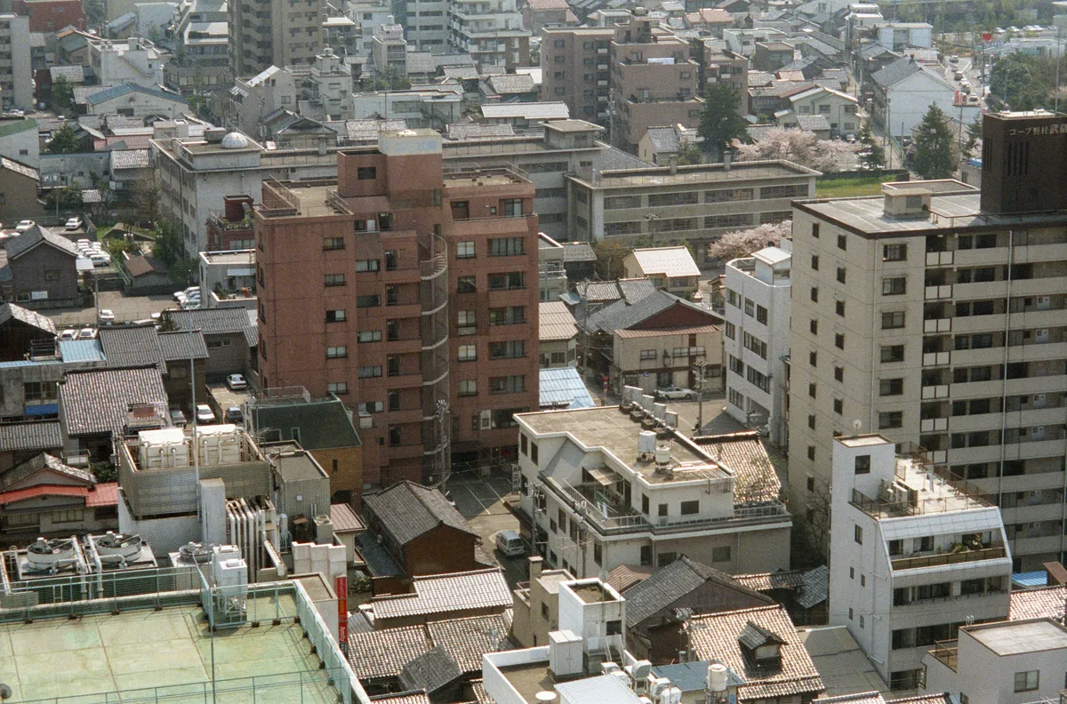 24545-Negs-054