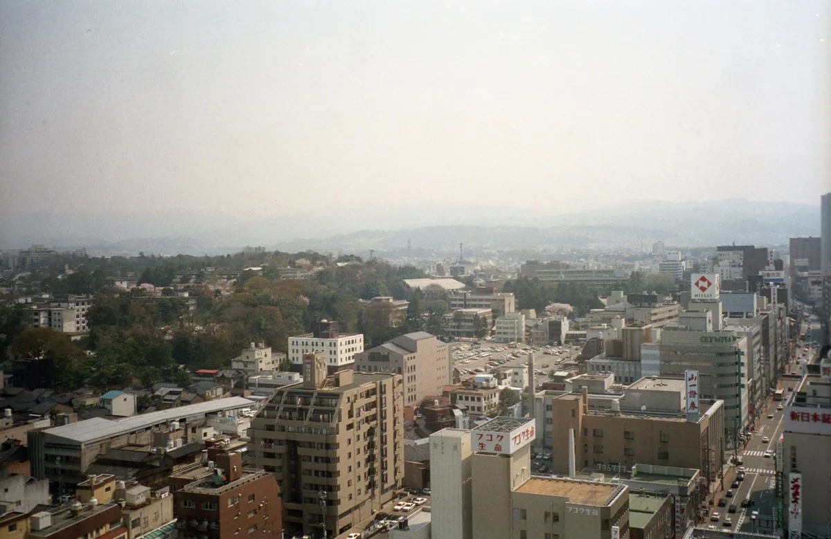 24545-Negs-055