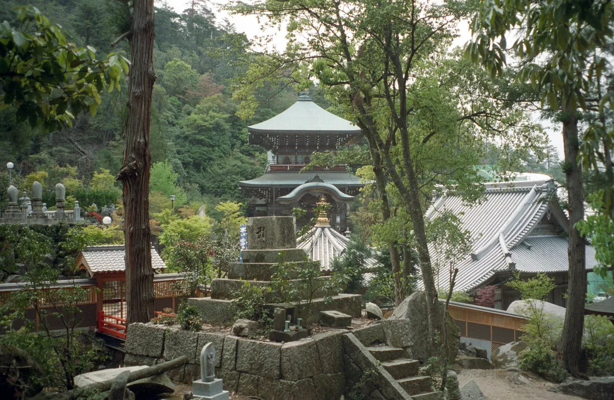 24545-Negs-056