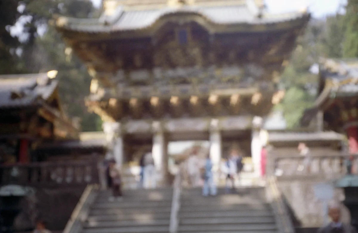 24545-Negs-076