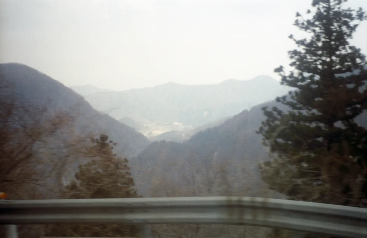 24545-Negs-080