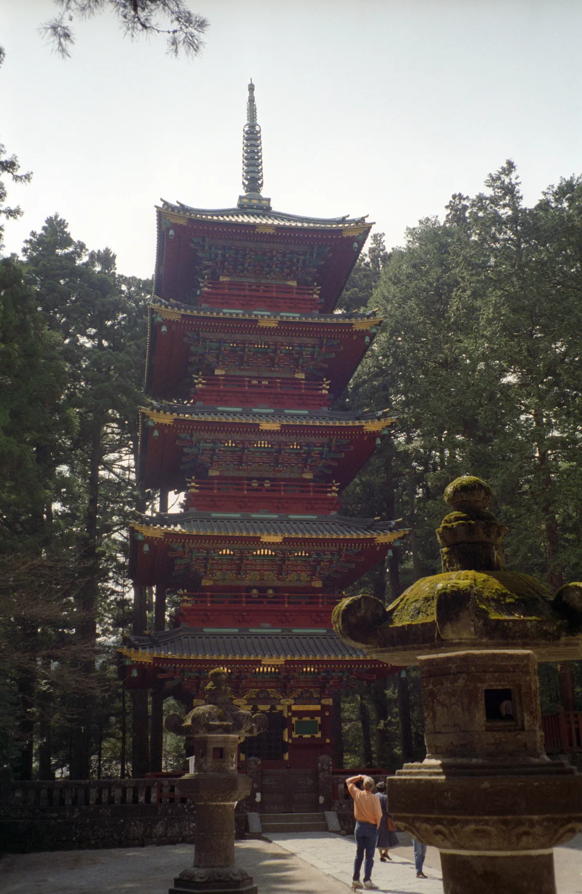 24545-Negs-082