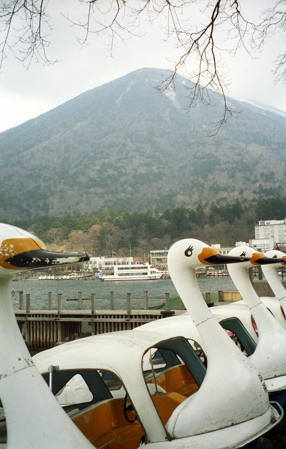 24545-Negs-090