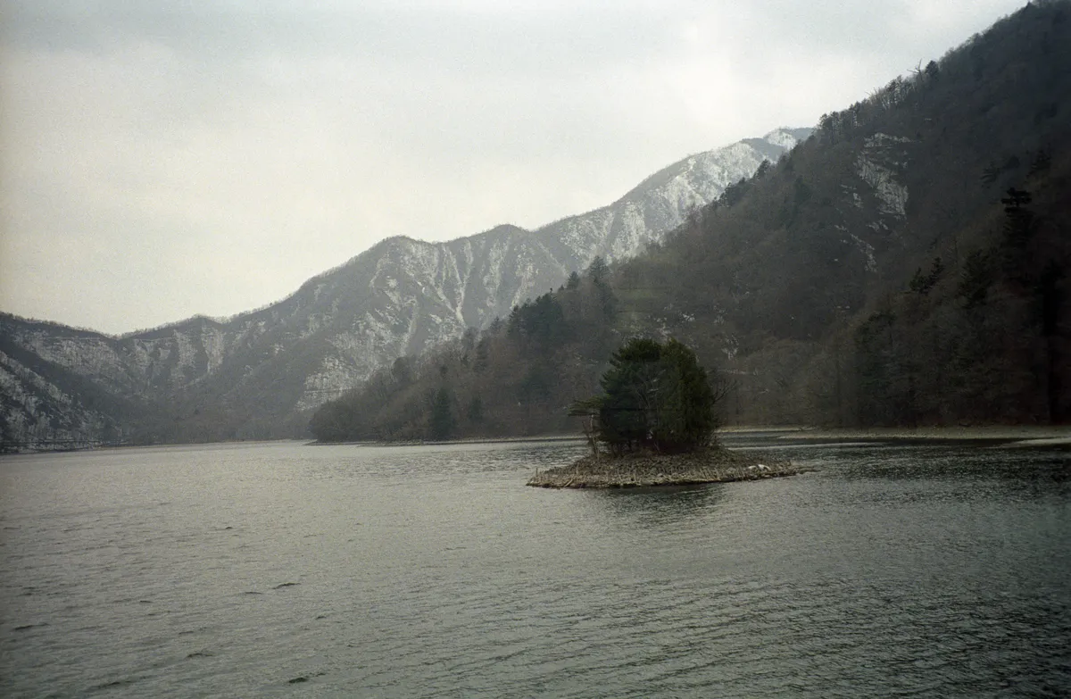 24545-Negs-092