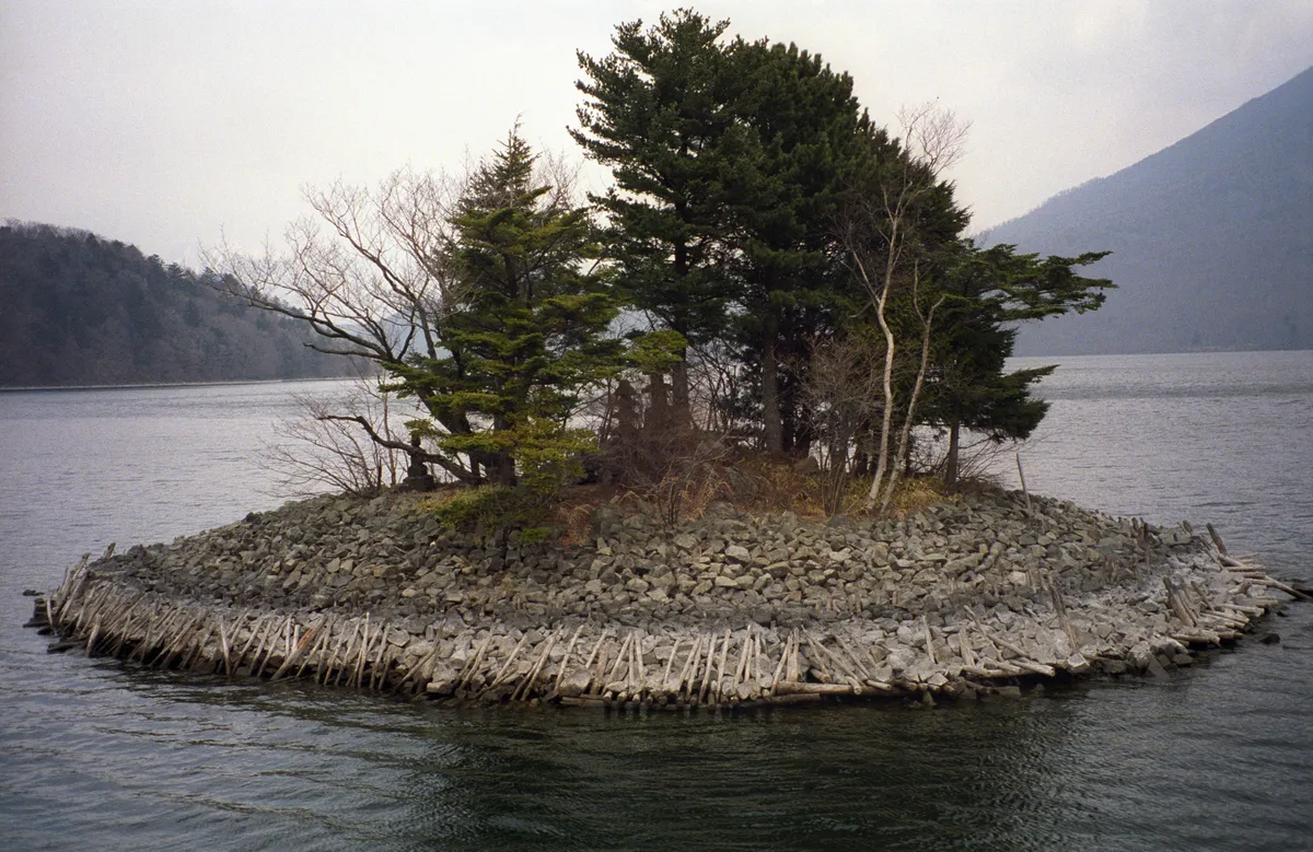 24545-Negs-093