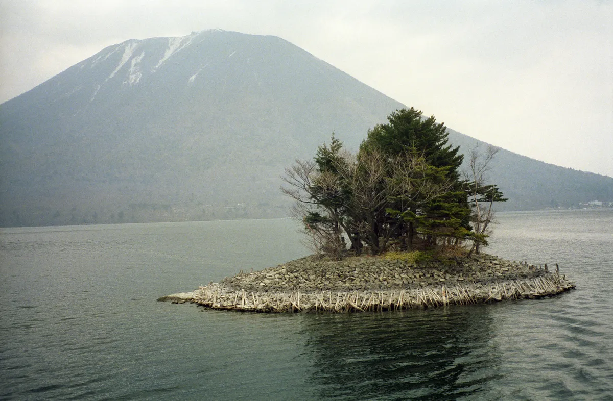 24545-Negs-094