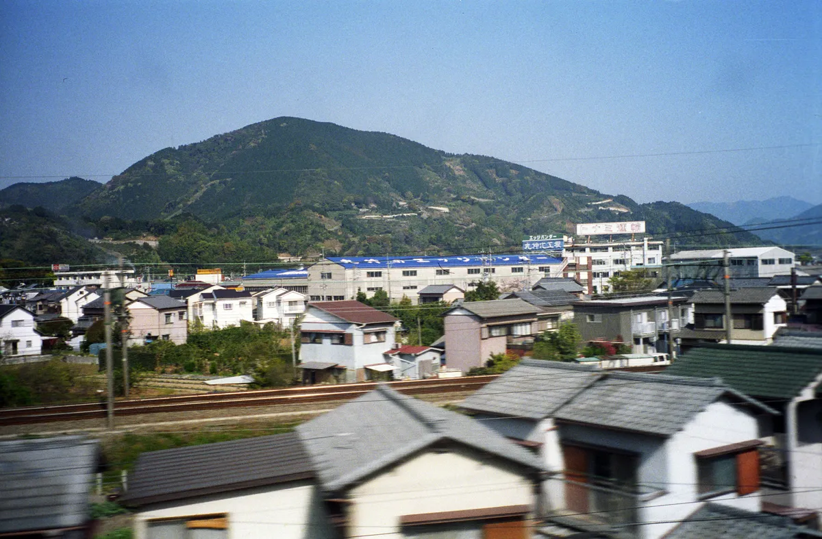 24545-Negs-100