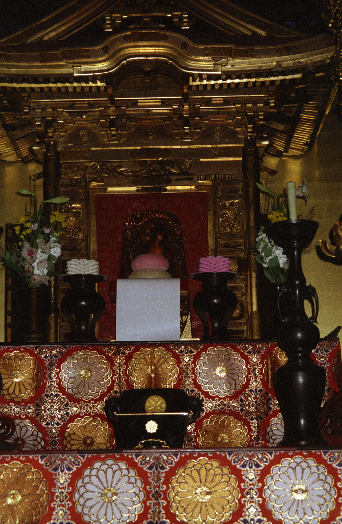 24545-Negs-117