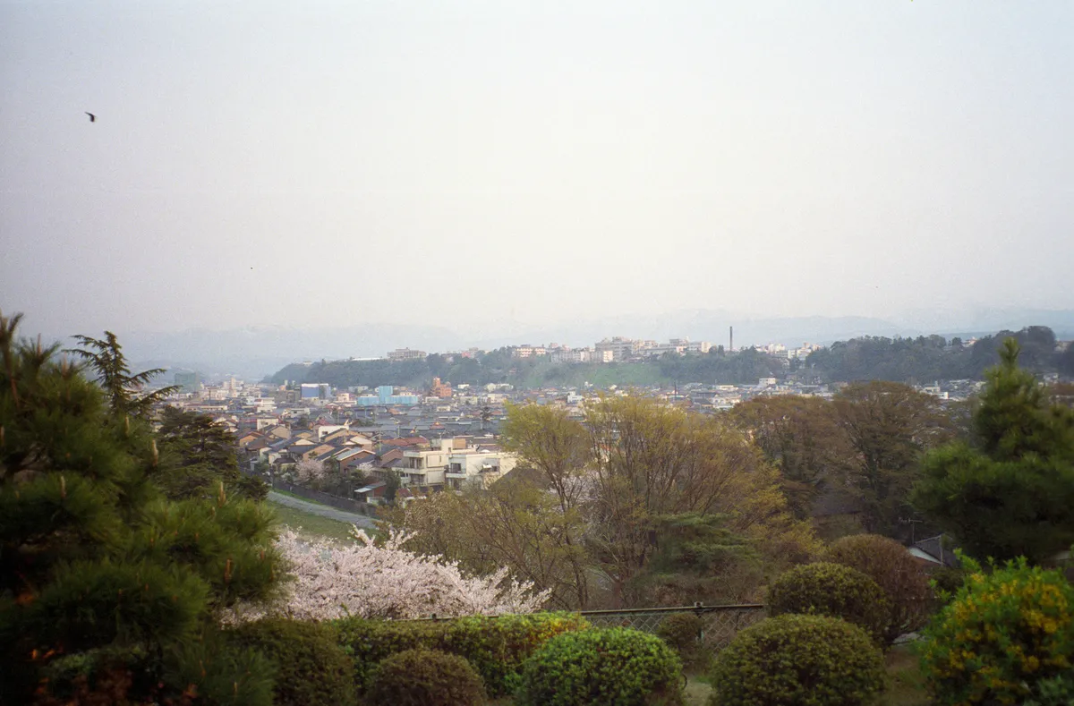 24545-Negs-124