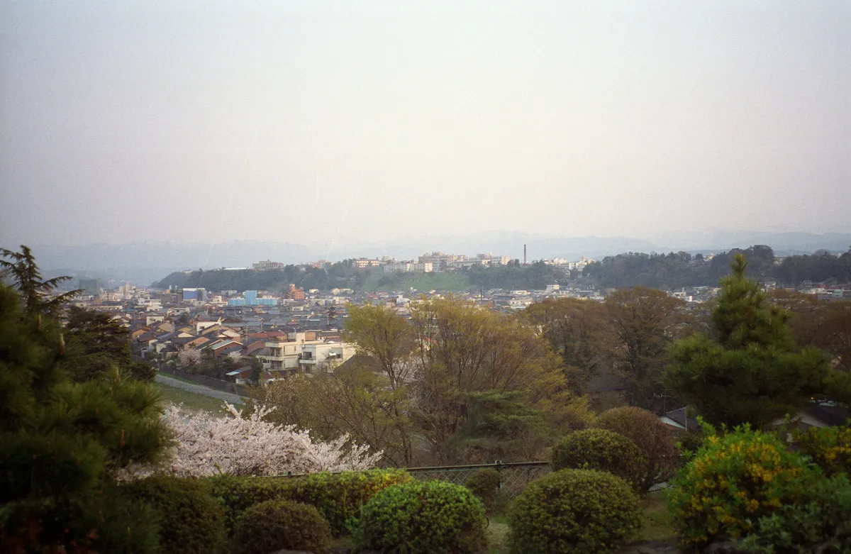 24545-Negs-125