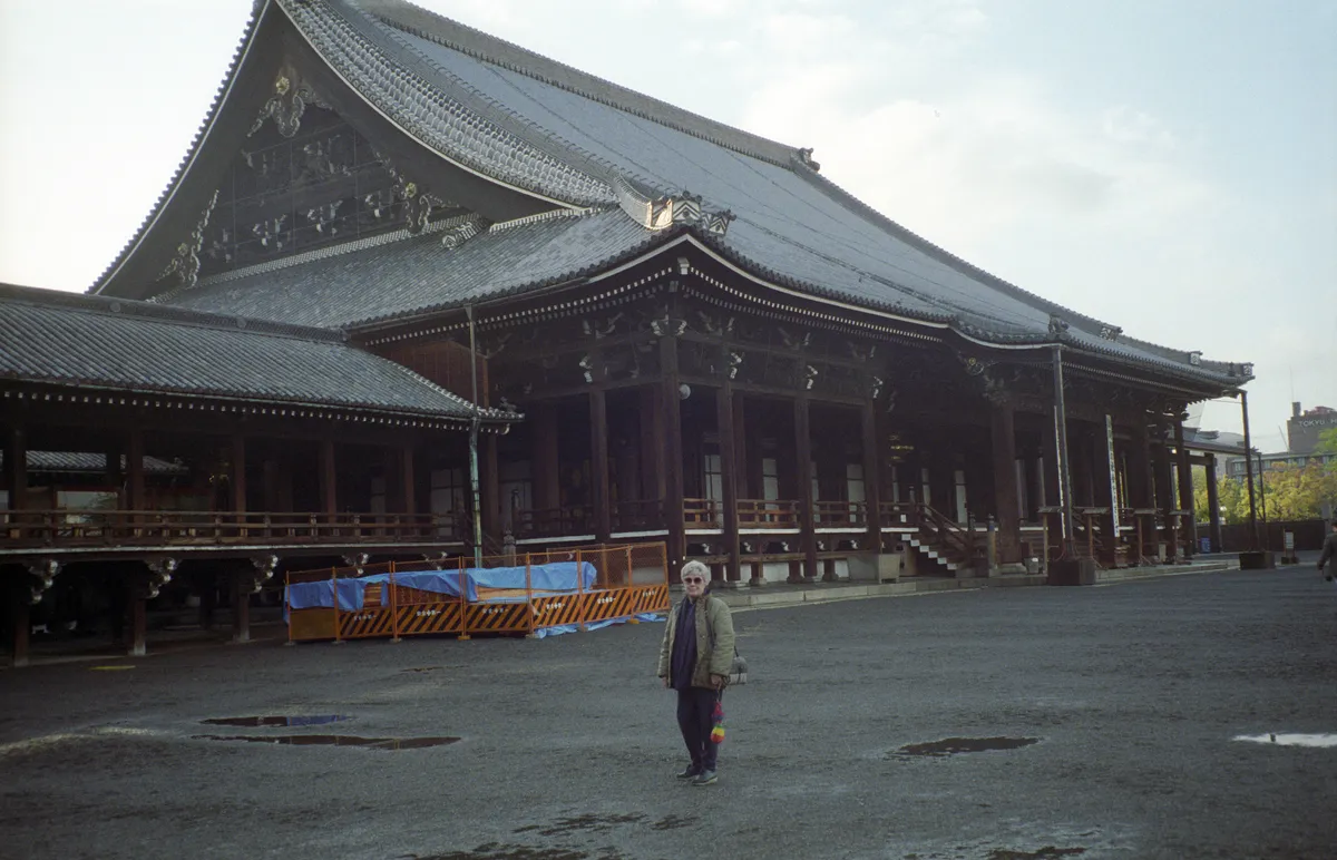 24545-Negs-502