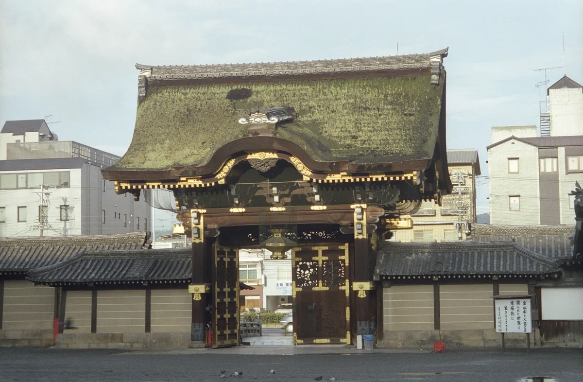 24545-Negs-503