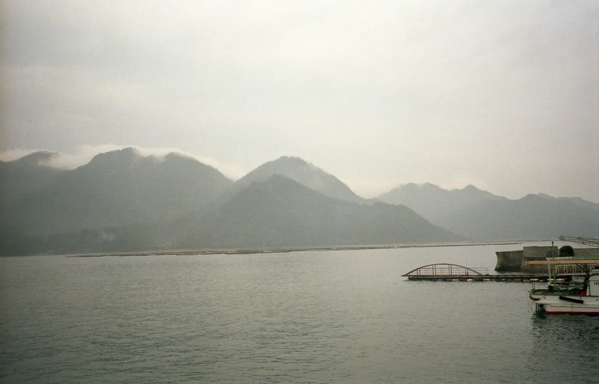 24545-Negs-508