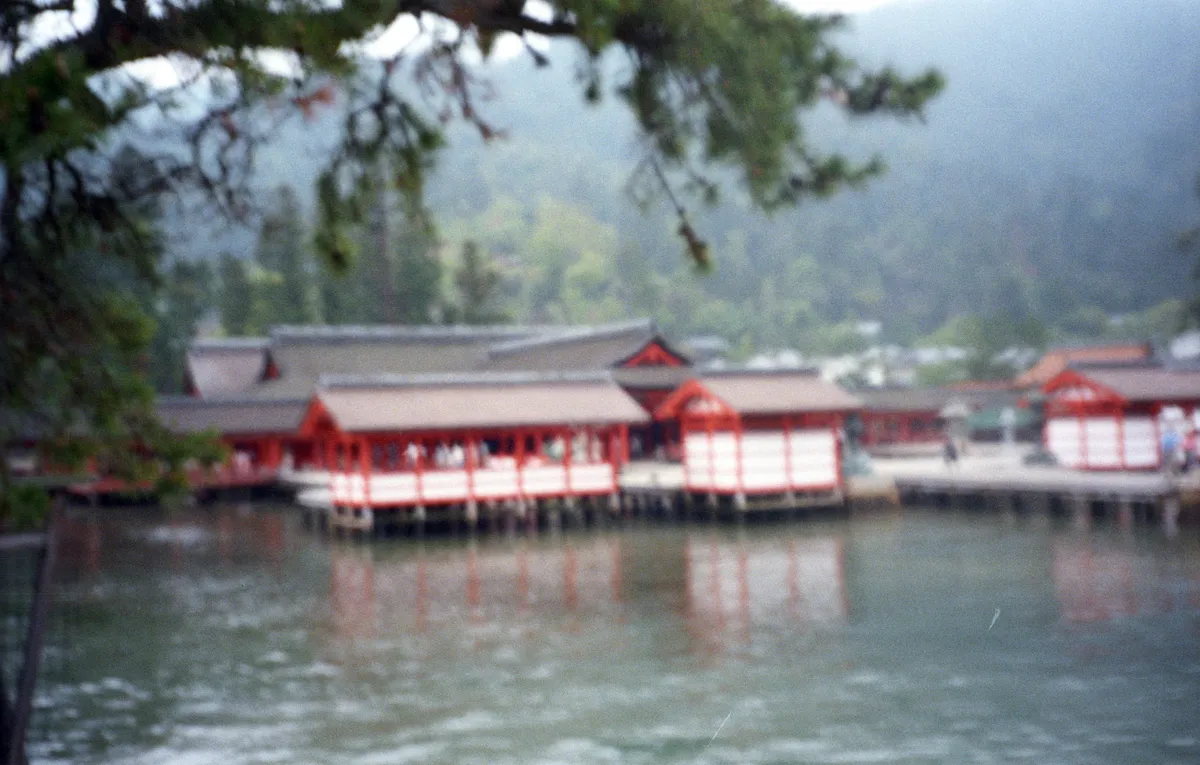 24545-Negs-514