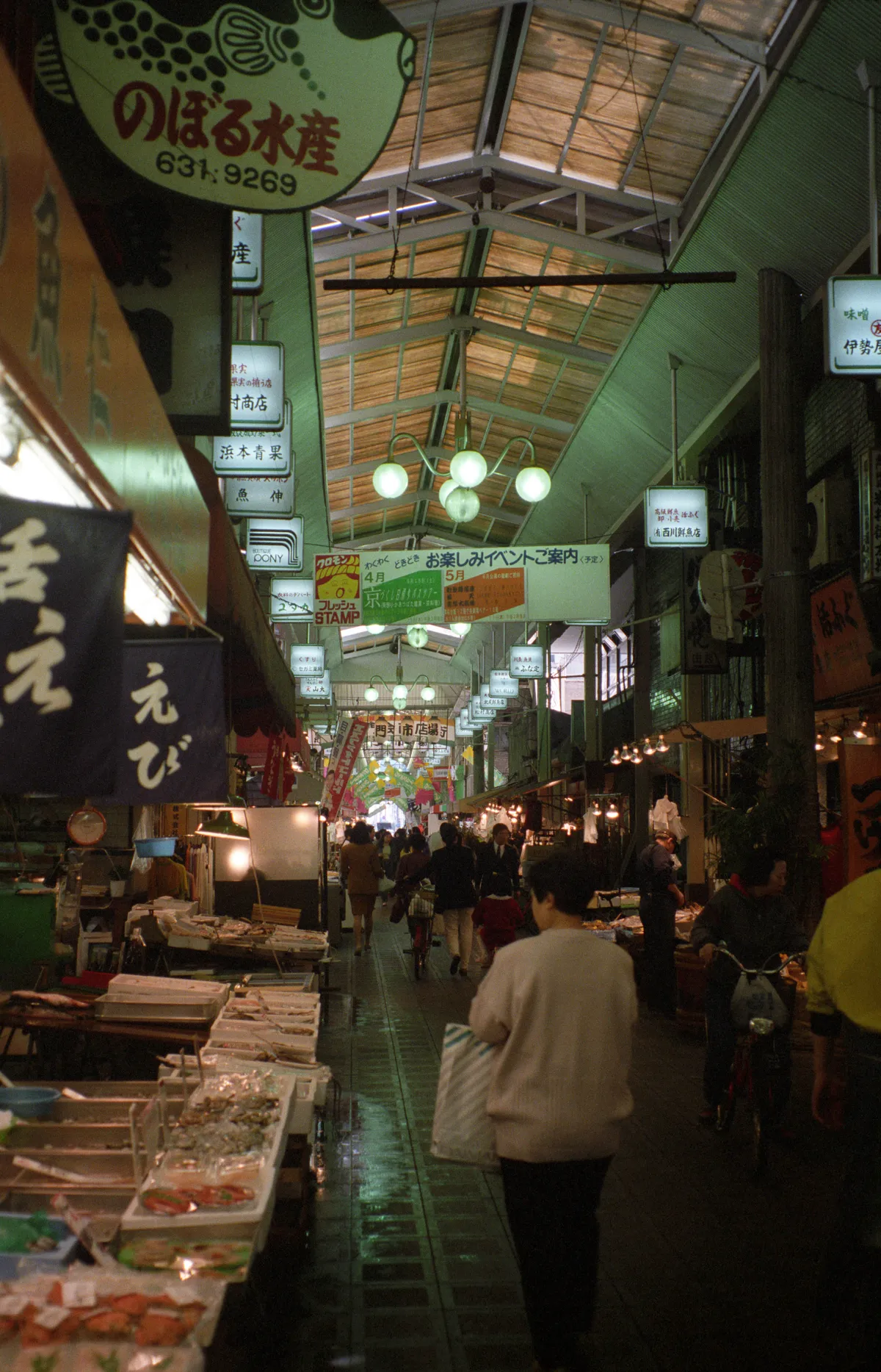 24545-Negs-521