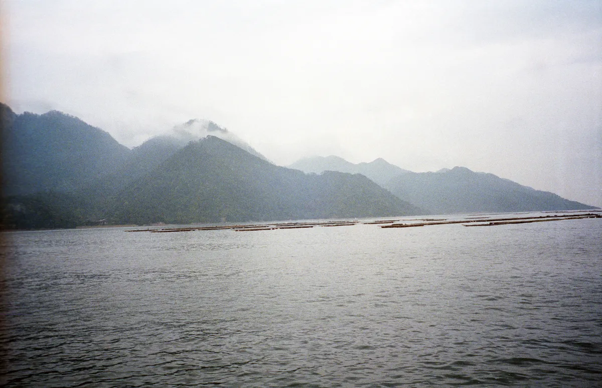 24545-Negs-538