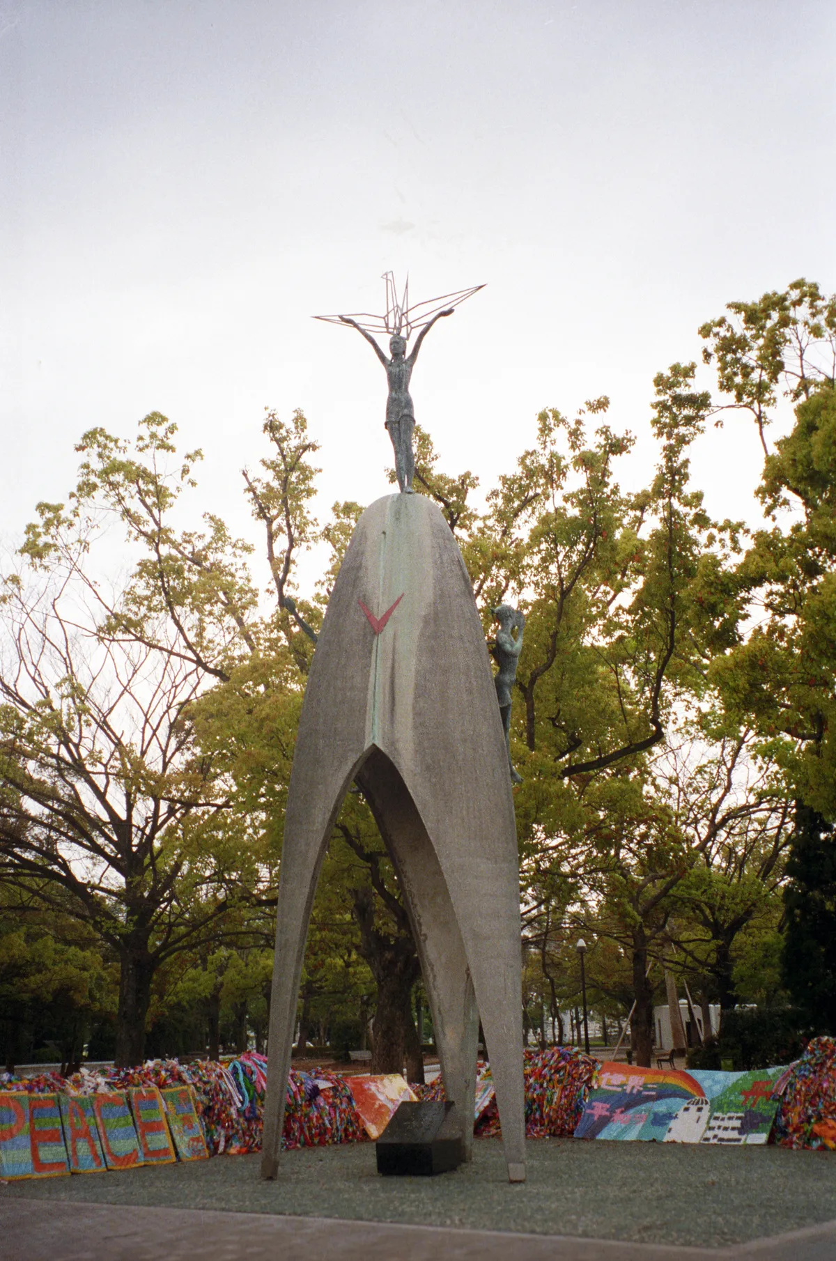 24545-Negs-551
