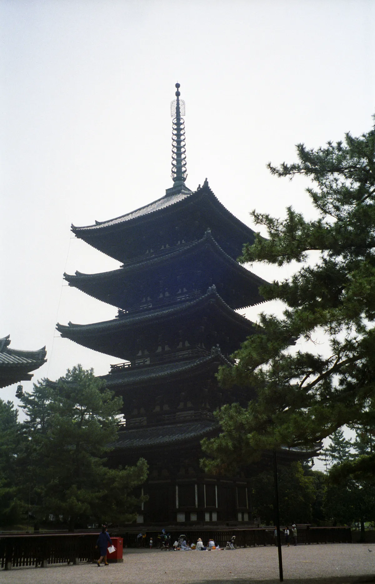 24545-Negs-553