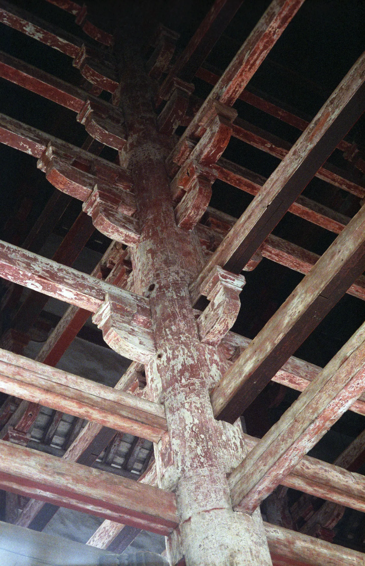24545-Negs-555