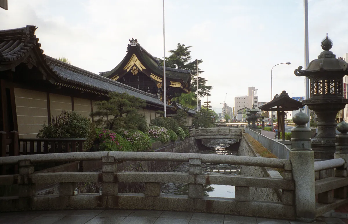 24545-Negs-557
