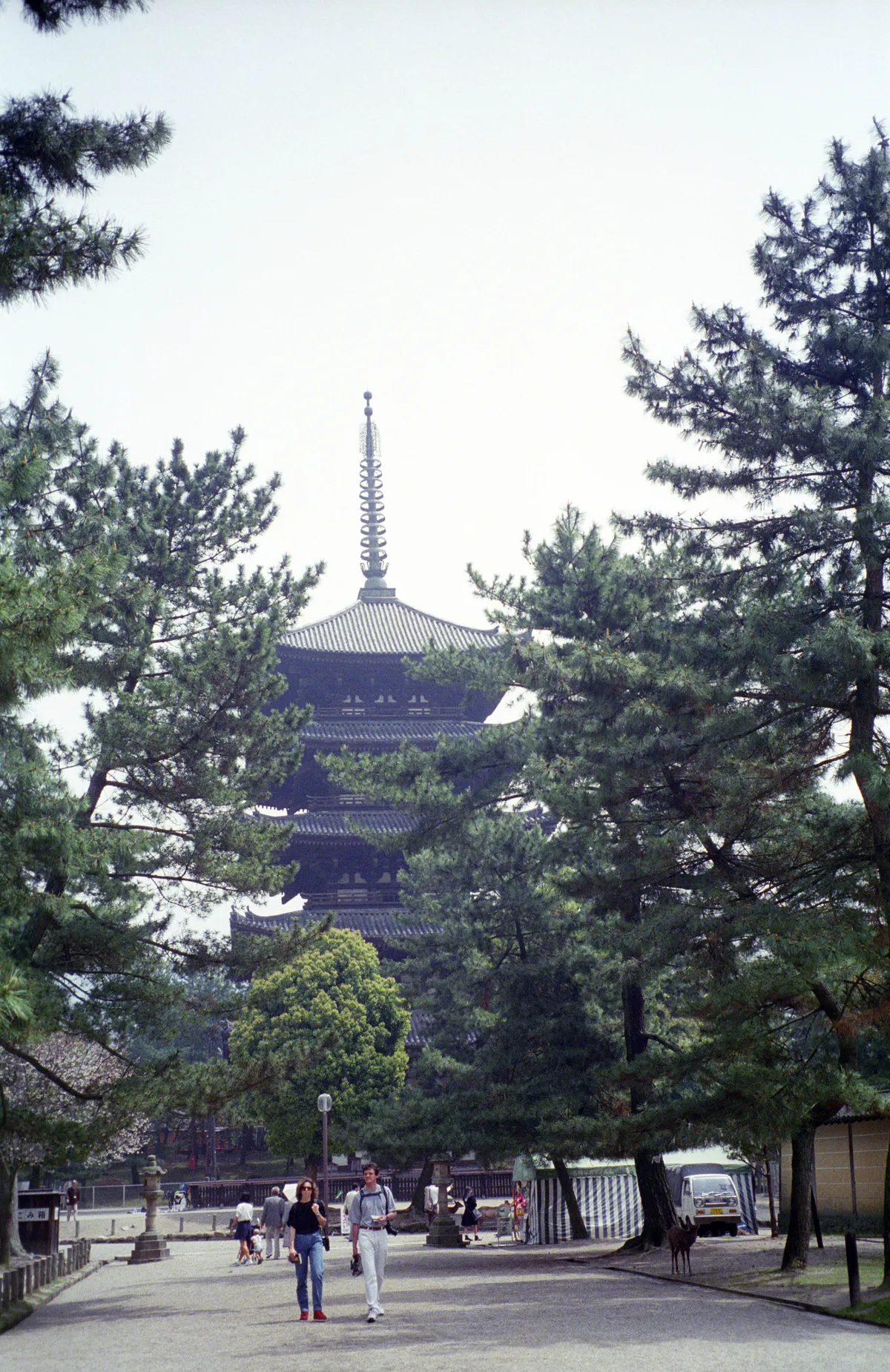 24545-Negs-570