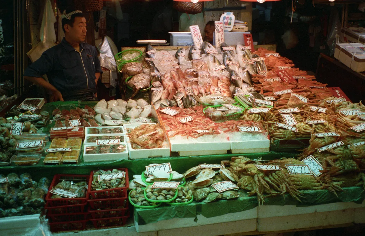 24545-Negs-581
