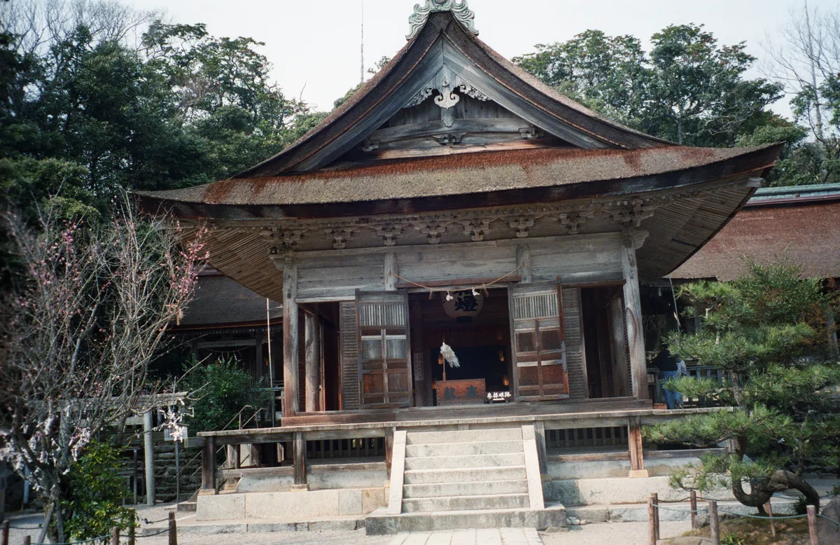 24545-Negs-595