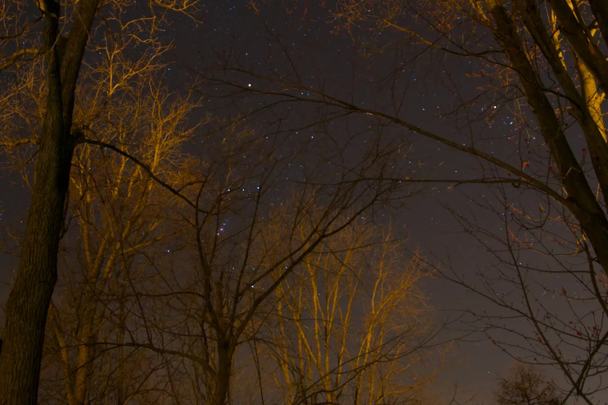 View of Orion from my parent's back patio