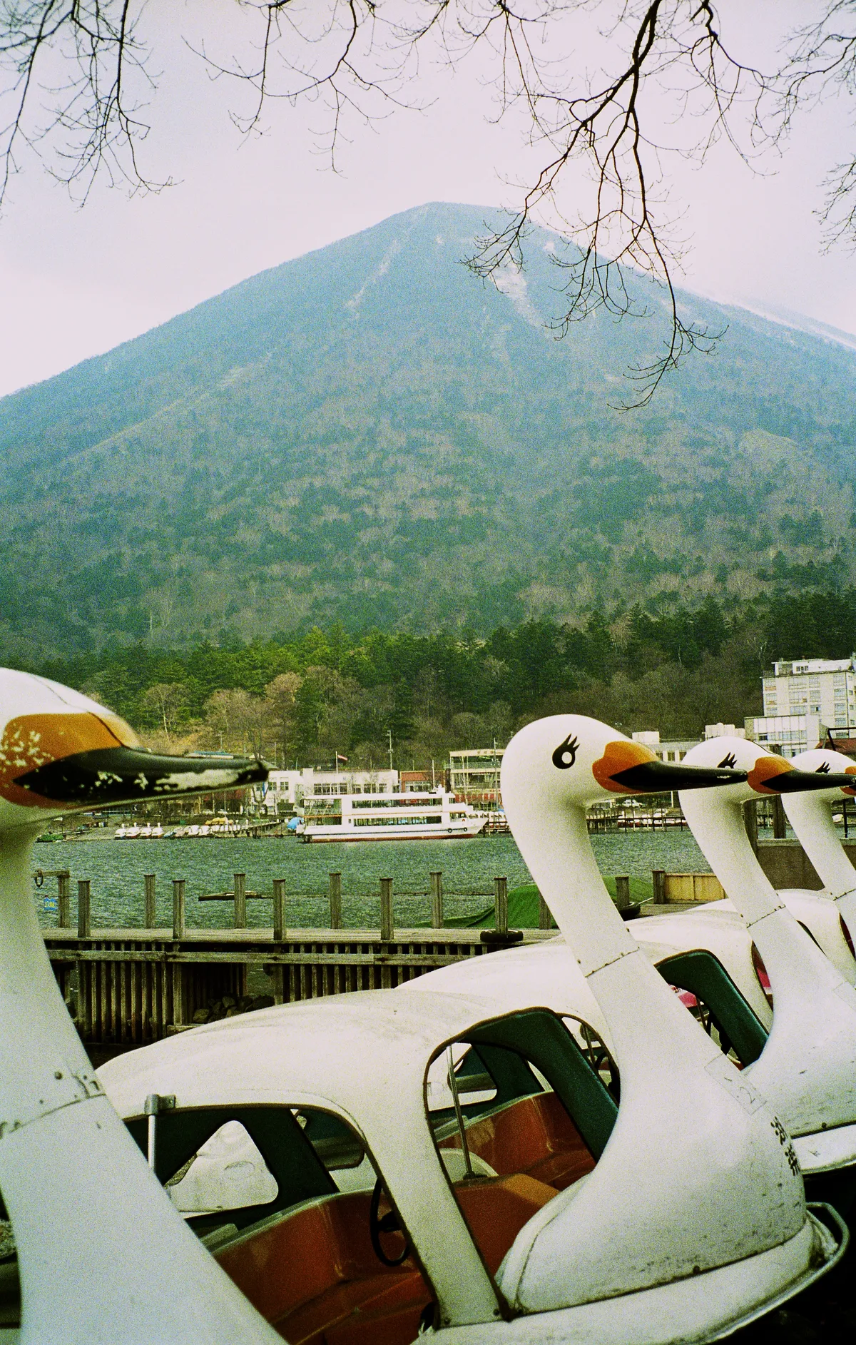 Goose paddle boats, naturally, near to Mt