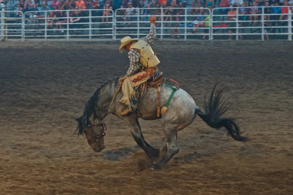 bucking bronco