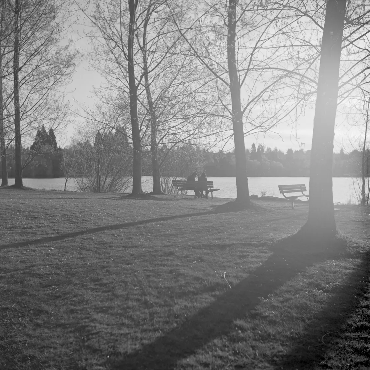 Greenlake at sunset