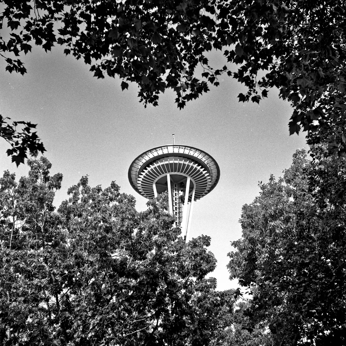 Seattle Center (May 2012)