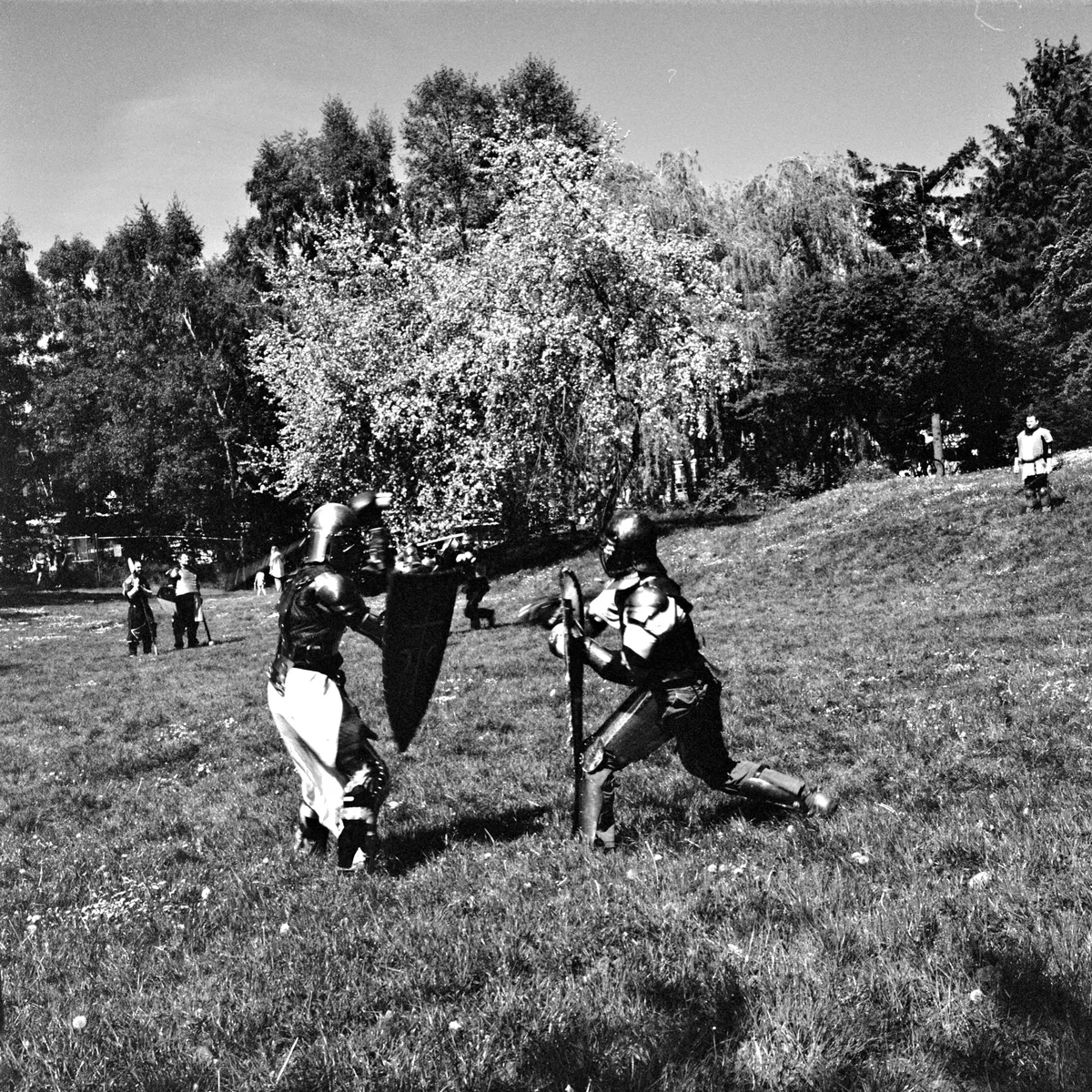Society for Creative Anachronisms at Gas Works Park (May 2012)