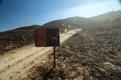 Target Practice