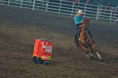 Barrel Runner
