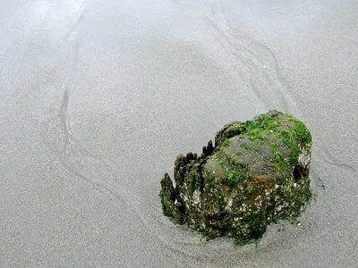 Edmonds shoreline